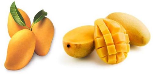 Fresh Kesar Mango