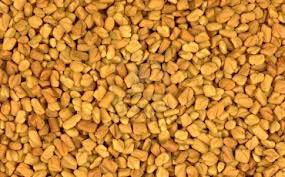 Fenugreek