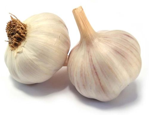 Fresh garlic, Cultivation Type : Organic