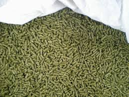 Alfalfa Pellet