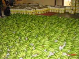 Fresh Cavendish Banana