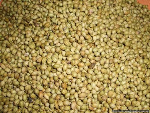 Whole Coriander Seeds