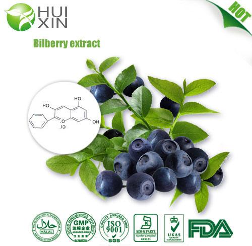 Bilberry Extract, Brand Name : HUIXIN