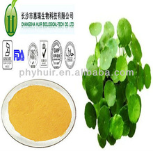 Centella Asiatica Extract, Brand Name : HUIXIN