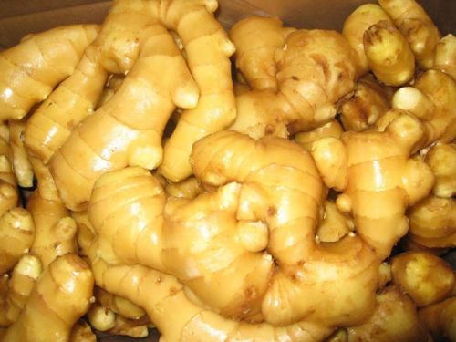 Fresh ginger Form :Whole