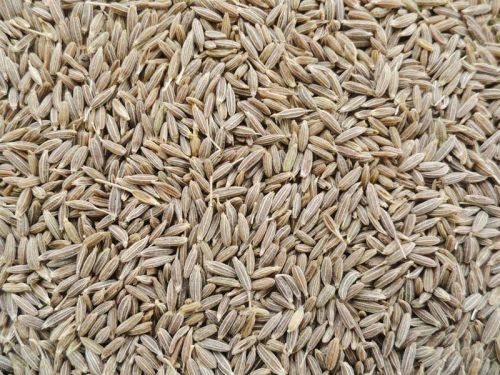 Cumin Seeds