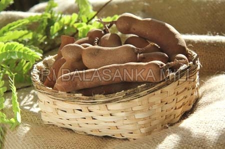 Tamarind Seed Pulp