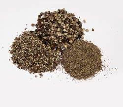 Black pepper powder, Shelf Life : 1-3 Years