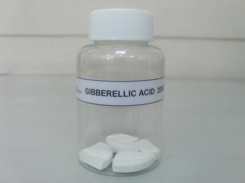 Gibberellic Acid
