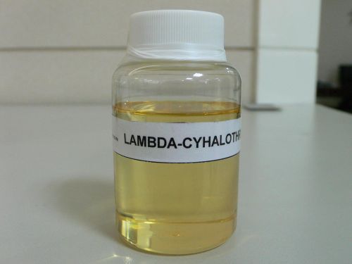 Lambda Cyhalothrin, Brand Name : KING QUENSON