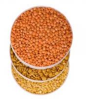 Indian Pulses