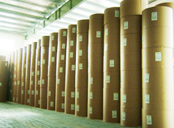 Coated White Top Kraft Paper