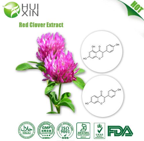 Red Clover Pe