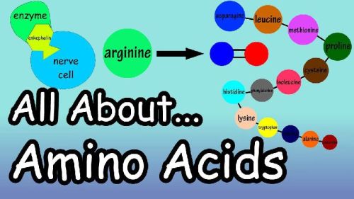 Amino Acids