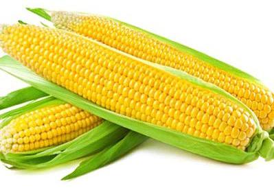 Sweet Corn