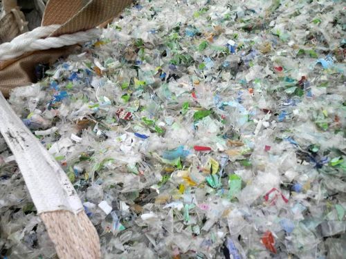 Pet flakes, Production Capacity : 500 Tons / Month