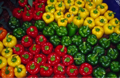 Capsicum, Country of Origin : India