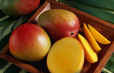 Mango, Usage/Application : Direct Consumption