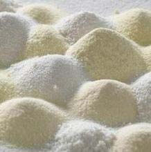 Whole Milk Powder