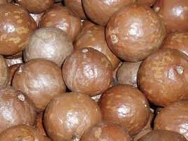 Macadamia nuts