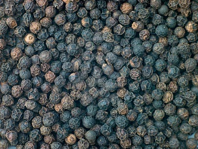 Black Pepper Seeds