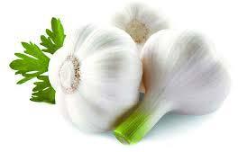 Fresh garlic, Feature : Moisture Proof, Gluten Free