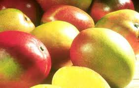 Fresh Mango,fresh Mango