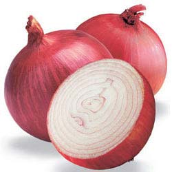 Fresh Onion