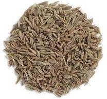 Cumin Seeds