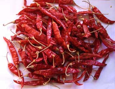 Dried Red Chilli