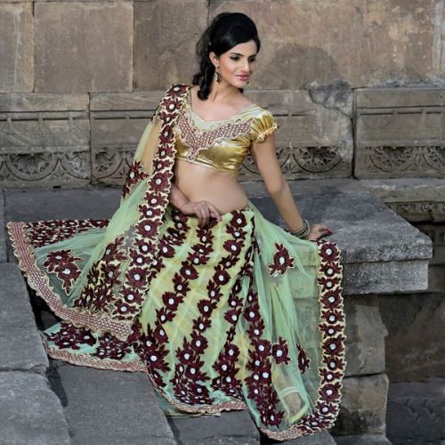 Designersareez Beige Net Lehenga Saree