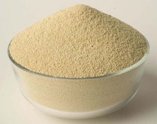 Powder Soybean Meal