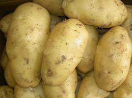 R09 Potato