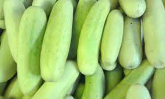 Fresh Cucumber,fresh Cucumber