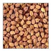 Kabuli chana, Protein : 8.9 g/100gms