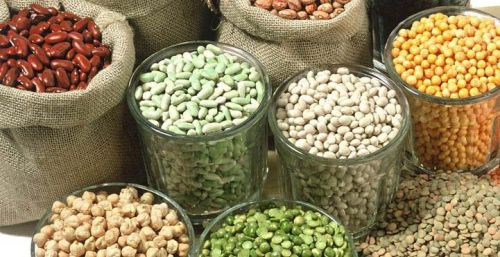 Indian Pulses