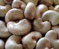 Raw Cashew Nuts