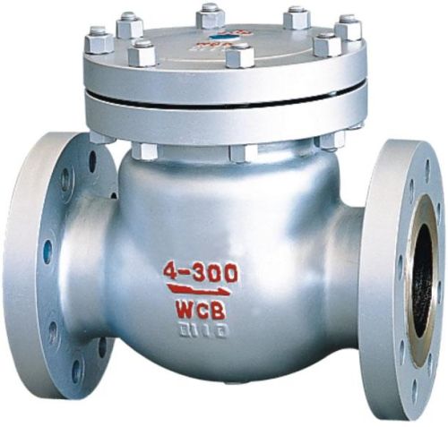 Check Valves, Brand Name : TEBON OR OEM