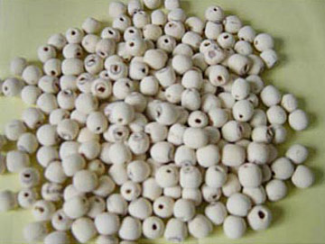 Lotus seeds