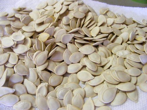 Pumpkin seeds, Quality : A Grade
