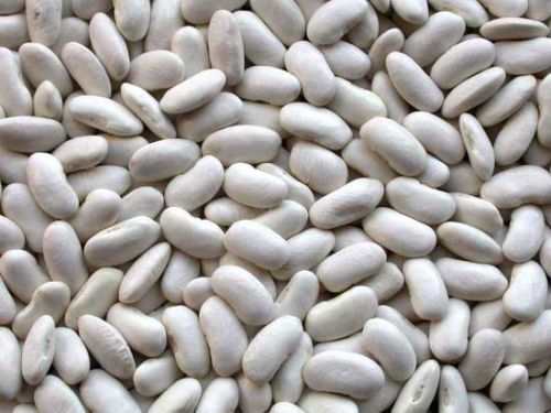 White kidney beans, Application : Cooking, Salads, Soups