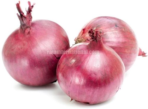 Fresh Red Onion