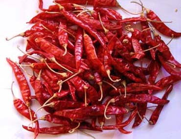 Dry Red Chili, Shelf Life : 6-12 Months