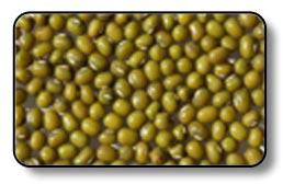 Mung Beans, Type : Pulses