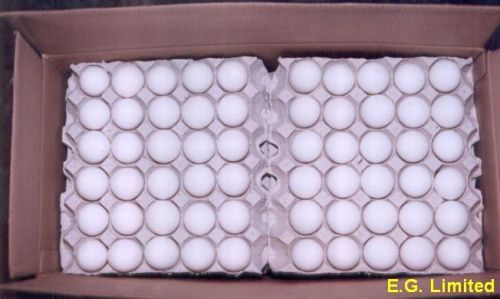 Grade A Quality White & Brown Chicken Eggs