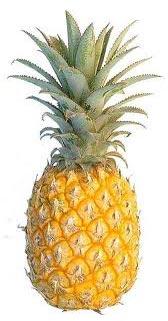 Fresh pineapple, Storage Condition : Natural