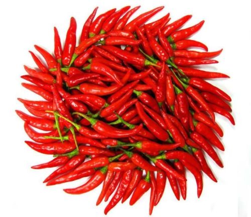 Red Chili