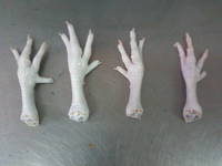 Kosher Frozen Chicken Feet