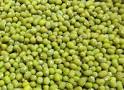 Green Mung Bean, Cultivation Type : Organic