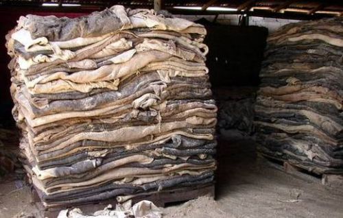Air Dried Sheep Skins